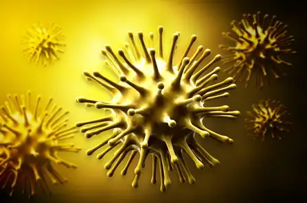 Infectiile cu Mycoplasme