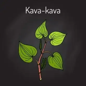 Kava Kava – Radacina din Marea Sudului 