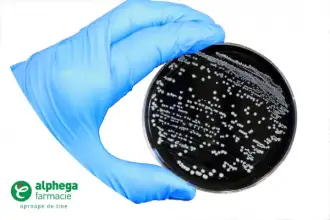 Bacteriile Campylobacter