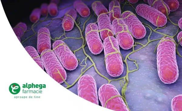 Salmonella în tratamentul împotriva cancerului